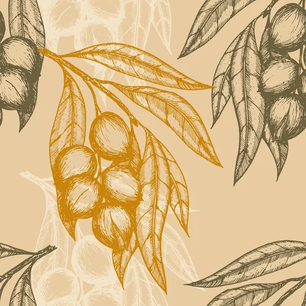 Nahtloses Muster basierend auf gravierten Illustrationen von Macadamia-Zweigen mit Nüssen und Blättern. Vektorillustration — Stockvektor