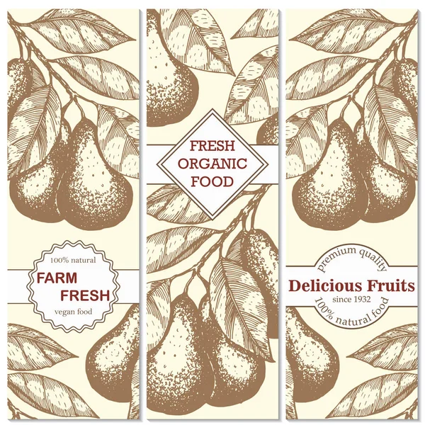 Banner set di vintage pere disegnate a mano brunch sfondi. Ramo di pera. Illustrazione vettoriale incisa a mano — Vettoriale Stock