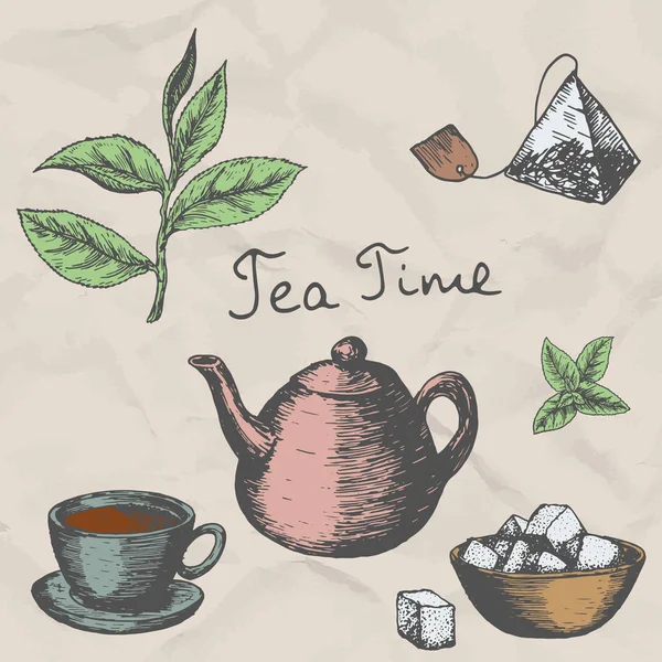 Vektör toplama el çay resimde çizilmiş. Dekoratif vintage çay kroki mürekkep. — Stok Vektör