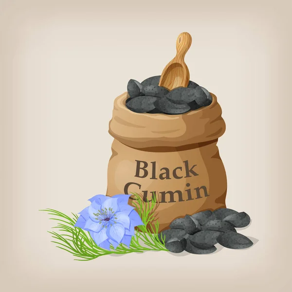 Cumin noir dans un petit sac . — Image vectorielle