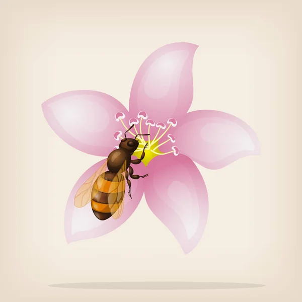 Bee flies on a flower. Vector illustration. — Stock Vector