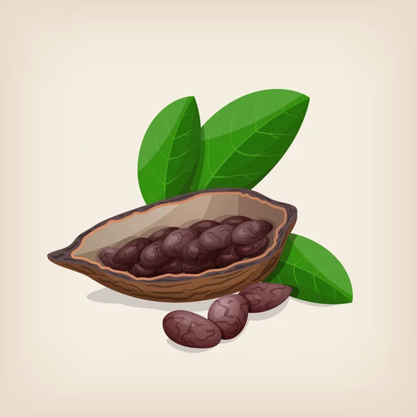 Cialde di cacao e fagioli con foglie. Illustrazione vettoriale . — Vettoriale Stock