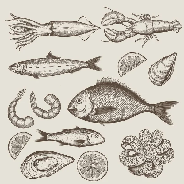 Рука намалювала ескізний набір морепродуктів. Векторні ілюстрації — стоковий вектор