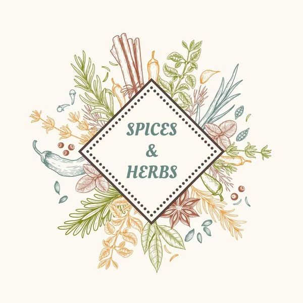 Diseño de tarjeta vectorial con especias y hierbas dibujadas a mano. Fondo colorido decorativo con boceto de especias vintage . — Vector de stock