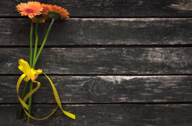 Ahşap arka plan kopya alanı ile gerbera çiçekleri.