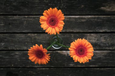 Ahşap arka plan üzerinde turuncu gerbera çiçekleri buketi.