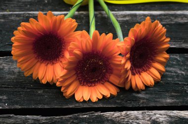 Ahşap arka plan üzerinde turuncu gerbera çiçekleri buketi.