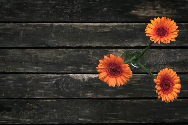 Ahşap arka plan kopya alanı ile gerbera çiçekleri.
