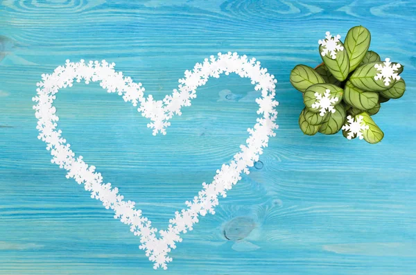 Arrowroot green plant and heart shape made of white snowflakes on blue wooden background with copy space.