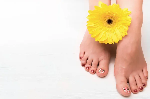 Wanita Cantik Kaki Dan Kuning Bunga Gerbera Latar Belakang Putih — Stok Foto