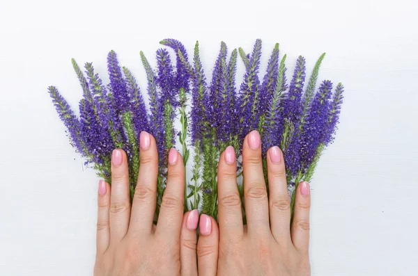 Woman Hand Holding Bouquet Wildflowers Veronica Longfolia Isolated White Wooden — Stock Photo, Image