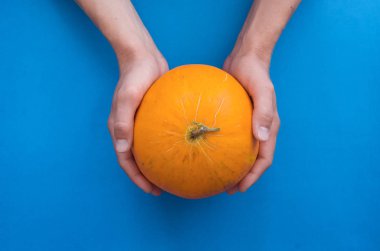 Elele mavi arka plan üzerinde izole taze kavun.