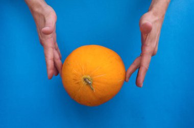 Elele mavi arka plan üzerinde izole taze kavun.