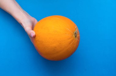 Elele mavi arka plan üzerinde izole taze kavun.