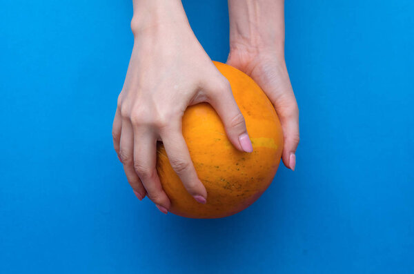 Hands is holding a fresh Melon isolated on the blue background.