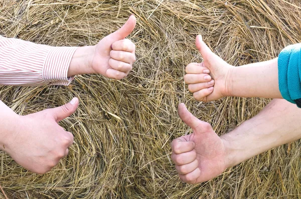 Farmer hands is showing a thumbs up gesture over haystack background as sign of good harvest.