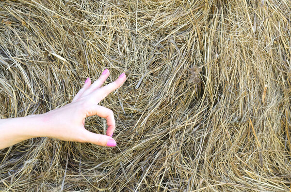 Рука фермера показывает знак "Окей" как символ хорошего урожая.
.