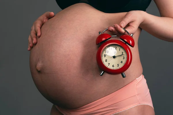 Pregnant Woman Holding Hands Red Alarm Clock Gray Background Waiting — Stock Photo, Image