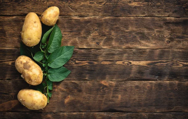 Heap of raw potato harvest and a potato green leaves on a wooden garden table background with copy space.
