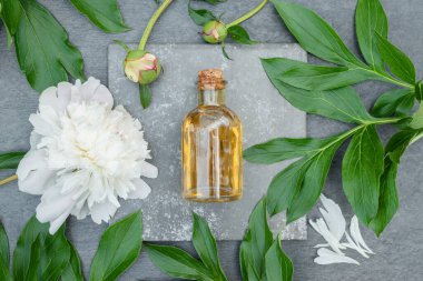 Şakayık çiçeği esaslı yağ ya da aromaterapi yağı şişede ve çiçek açan gri arka planda.