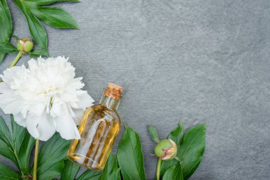 Şakayık çiçeği esaslı yağ ya da aromaterapi yağı şişede ve çiçek açan gri düz arkaplanda fotokopi alanı ile yatıyordu..