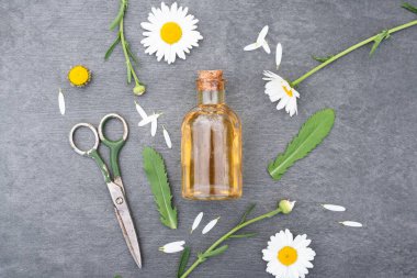 Papatya çiçeği esaslı yağ ya da aromaterapi yağı şişede ve çiçek açan gri arka planda..