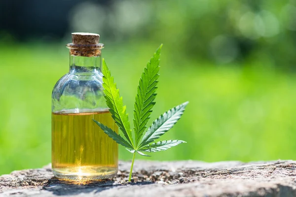 Cbdオイルボトルと自然の背景に緑の大麻の葉 — ストック写真