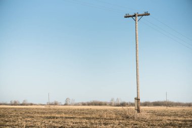 Tarımsal alan arka planında elektrik direği.
