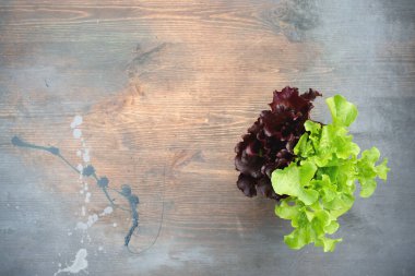 Marul yaprakları bir bahçe masasında düz zemin üzerinde fotokopi alanı ile yatar.