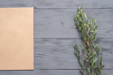 Yeşil yapraklı okaliptüs ağacı dalı ve ahşap masa zemininde kahverengi kağıt sayfa.