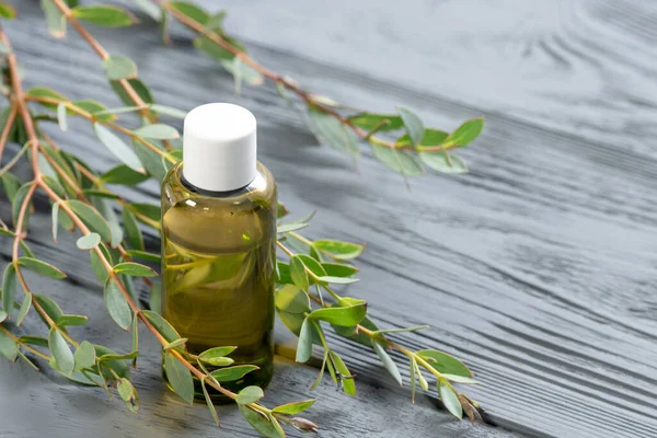 Eucalyptus essential oil in the bottle and a tree eucalyptus tree branch with green leaves close up.