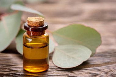 Okaliptüs esaslı yağ ve okaliptüs ağacı dalı. Ahşap zemin üzerinde yeşil yapraklar var..