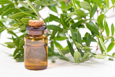 Beyaz arka planda bir şişede fıstık yağı..