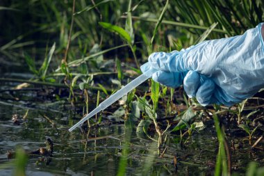 Su kirliliği kavramı. Kadın bilim adamı, kirli göletten su örneği alıyor..
