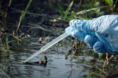 Su kirliliği kavramı. Kadın bilim adamı, kirli göletten su örneği alıyor..