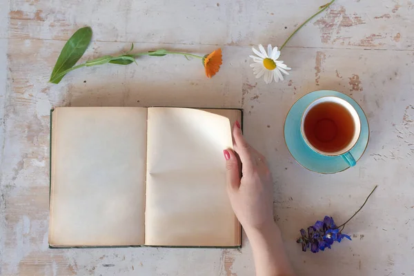 Woman Reading Blank Page Book Copy Space Drinking Tea White — Stock Photo, Image