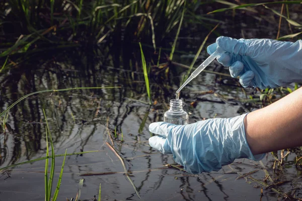 Koncept Znečištění Vody Žena Vědec Odebírá Vzorek Vody Znečištěného Jezírka — Stock fotografie
