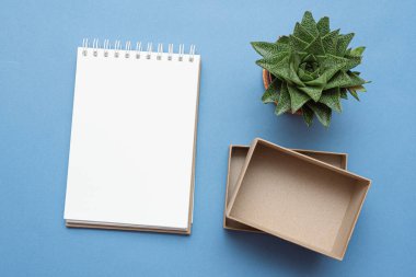 Kahverengi boş karton kutu ve mavi arkaplan boş.