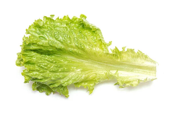 Green Lettuce Leaf Isolated White Background — Stock Photo, Image