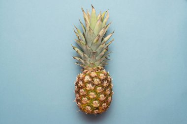 Mavi arka planda olgun ananas meyvesi yatıyordu..