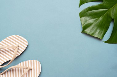 Flip flops ayakkabılar ve yeşil canavar yaprağı mavi düz arkaplan üzerinde fotokopi alanı ile uzanır.