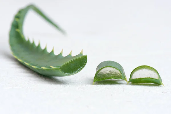 Hojas Aloe Vera Aisladas Sobre Fondo Blanco — Foto de Stock