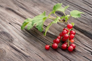 Ahşap bahçe arkaplanındaki dalda kırmızı frenk üzümü var..
