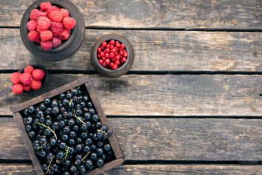 Bahçe masasının arkasındaki kabın içinde ahududu ve siyah frenk üzümü var..