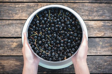 Eski ahşap bahçe arka planında, kasede siyah frenk üzümü var..