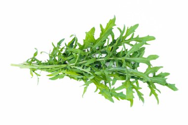 Arugula beyaz arkaplanda izole bırakılır.