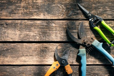 Bahçe masasının arka planında fotokopi alanı olan budama makinesi.