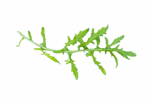 Arugula Leaves Isolated White Background — Stock Photo, Image