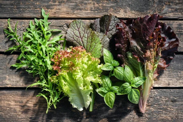 Green Basil Arugula Lettuce Leaves Old Wooden Kitchen Table Background Stock Image