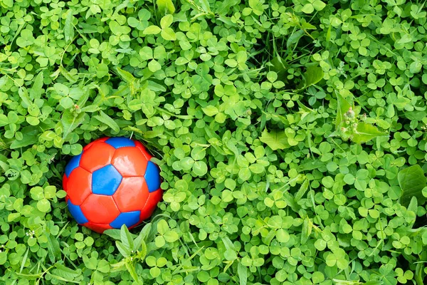 Child Soccer Ball Green Lawn Grass Background Royalty Free Stock Photos